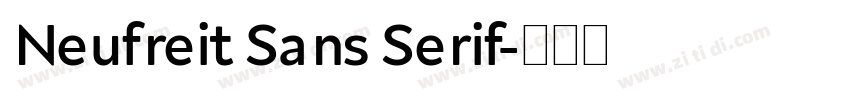 Neufreit Sans Serif字体转换